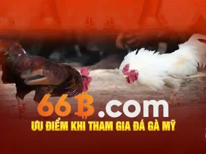 Bảo Vệ Tài Khoản Slot