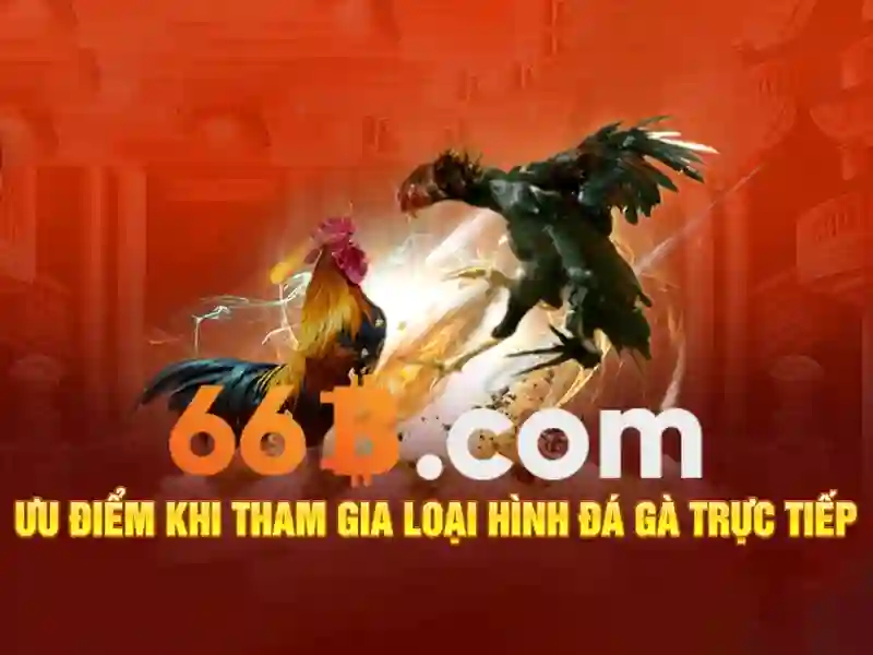 Rút Tiền 66B