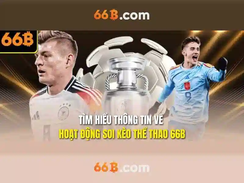 thương hiệu 66b
