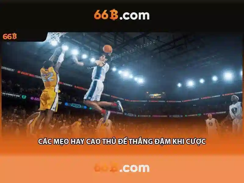 Casino 66B