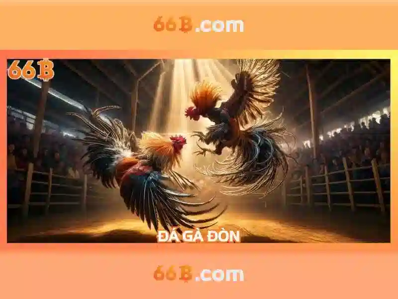 Giải Pháp Hỗ Trợ Slot 66B