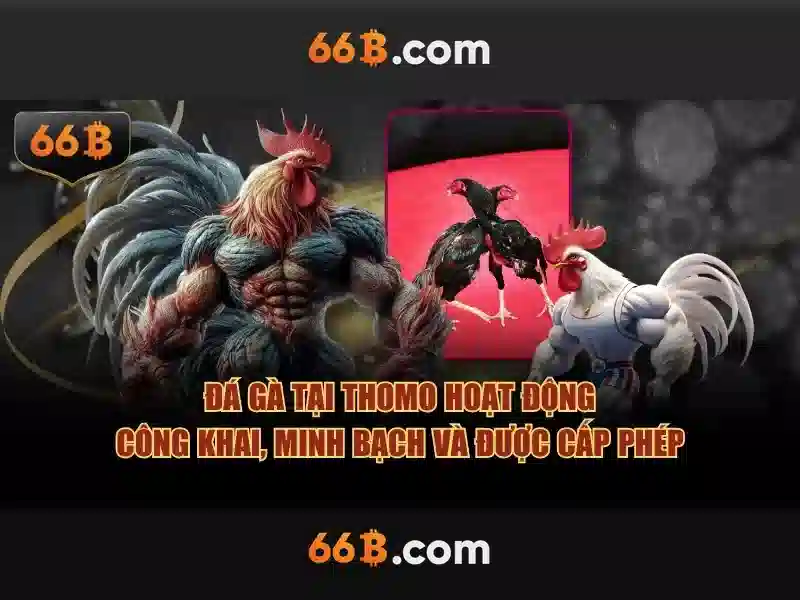 Slot 66B