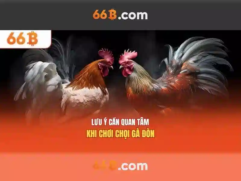 Chương Trình Tặng Tiền 66B