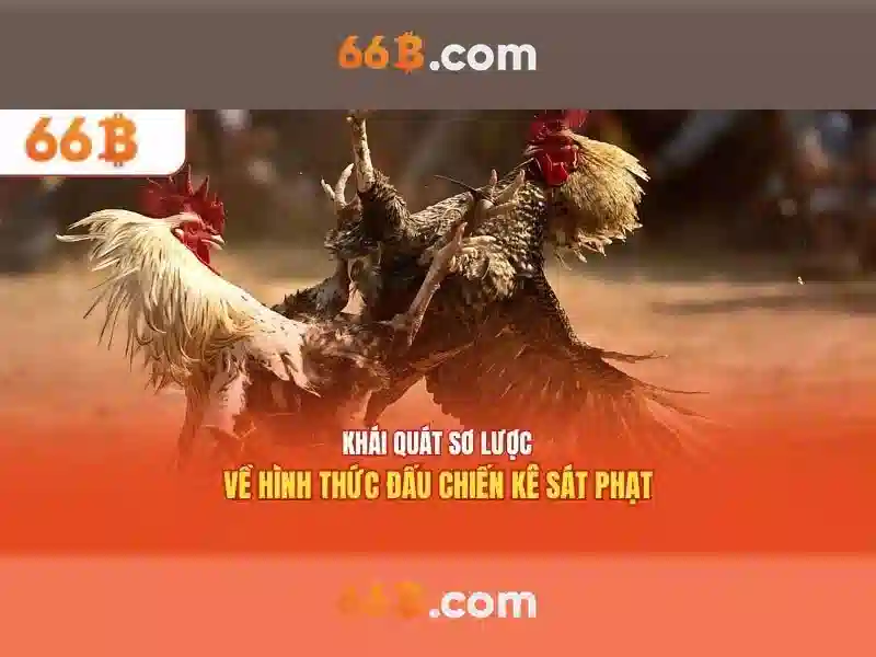 Trải nghiệm Slot game tại 66B