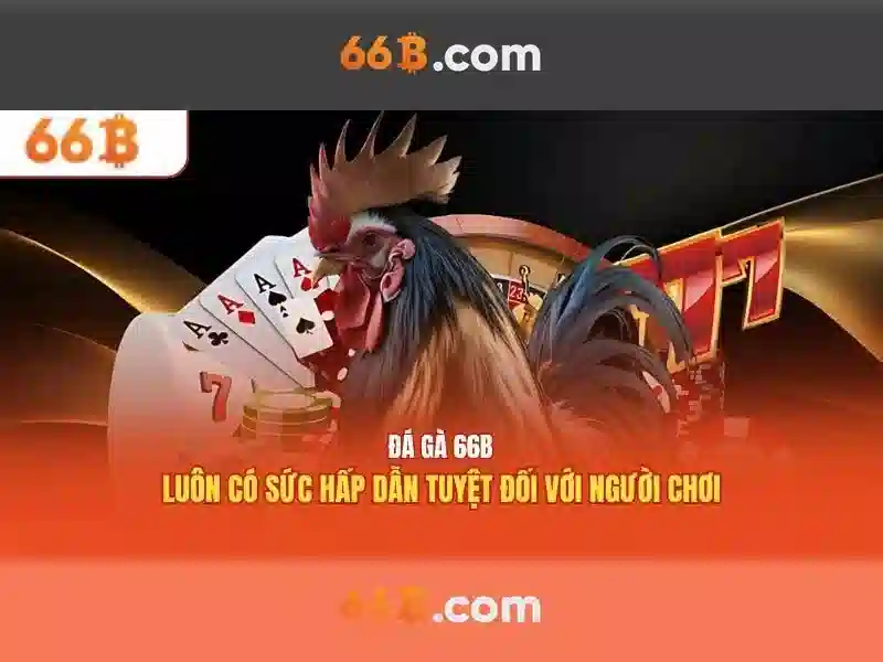 66B Khuyến Mãi