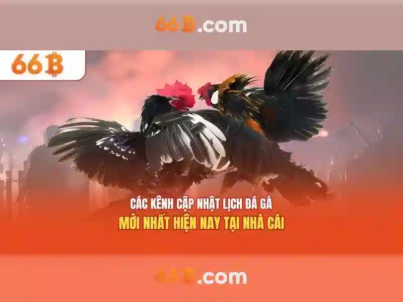 Đánh Giá Người Chơi