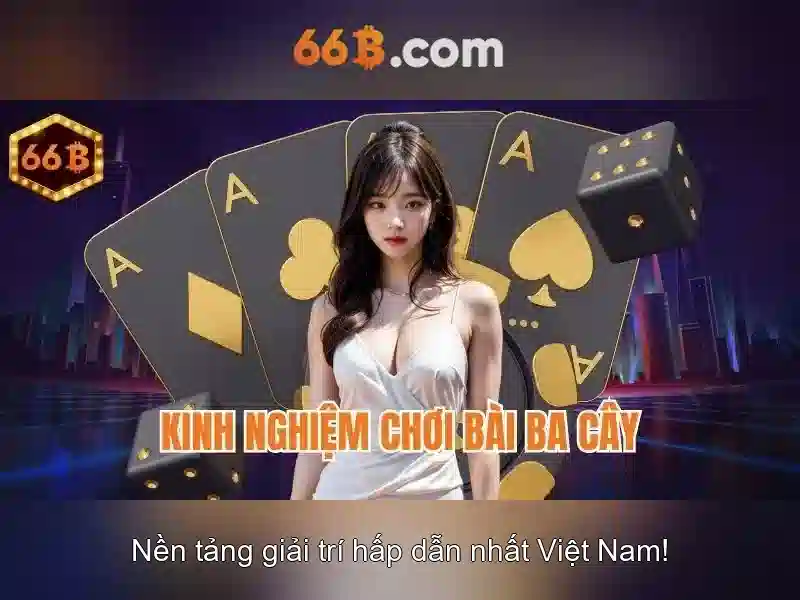 Hướng dẫn liên hệ 66B