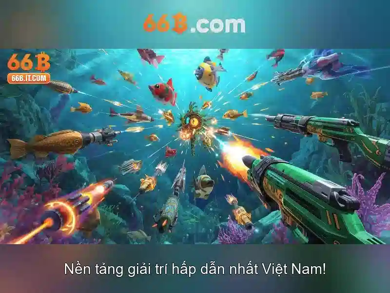 Trải nghiệm 66B