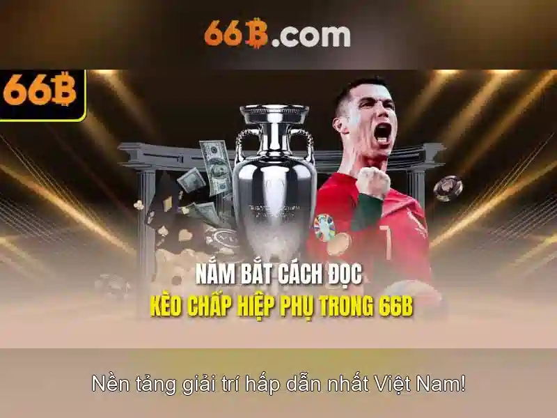 Quy Định Đăng Ký 66B