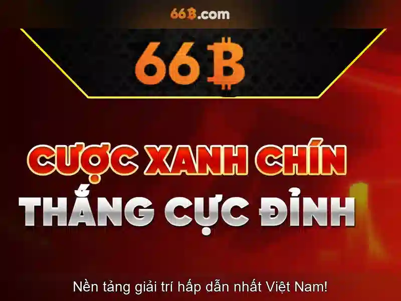 Tại Sao Chọn Đá Gà 66B