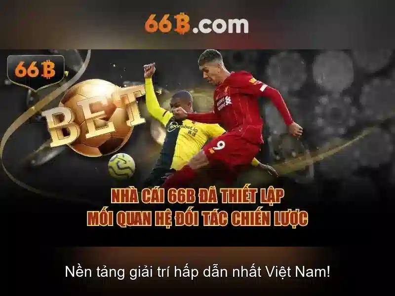 Đánh Giá 66B