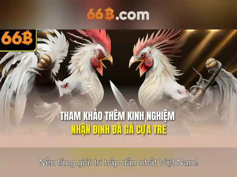 Trải nghiệm cược Slot 66b online tại 66B