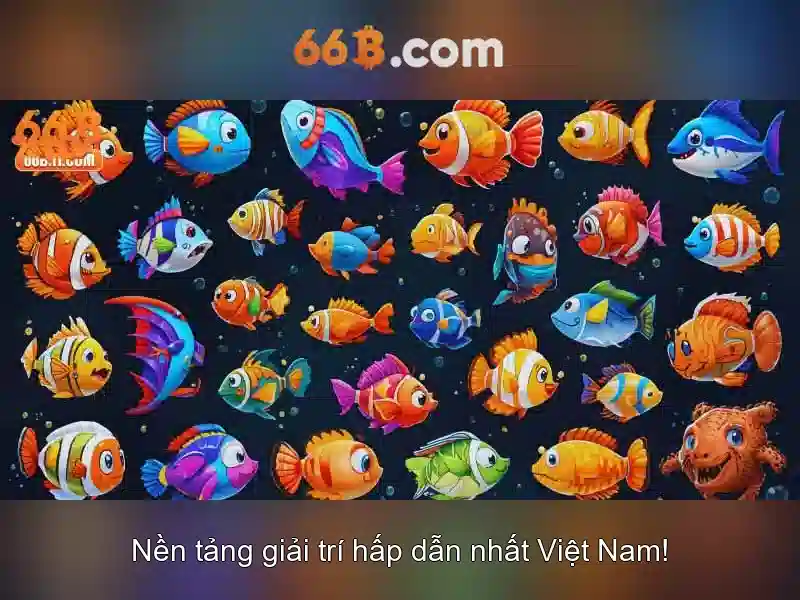 Lý do chọn 66B