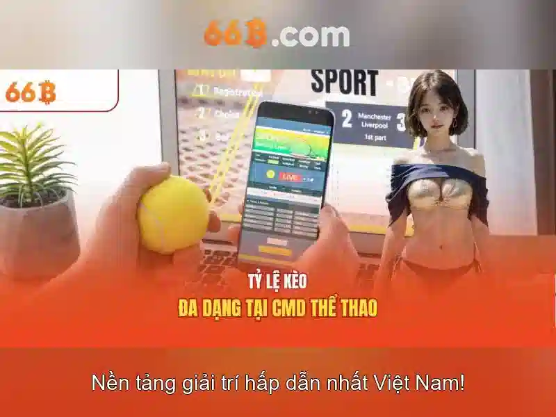 Ưu Đãi Độc Quyền Cho Thành Viên 66B