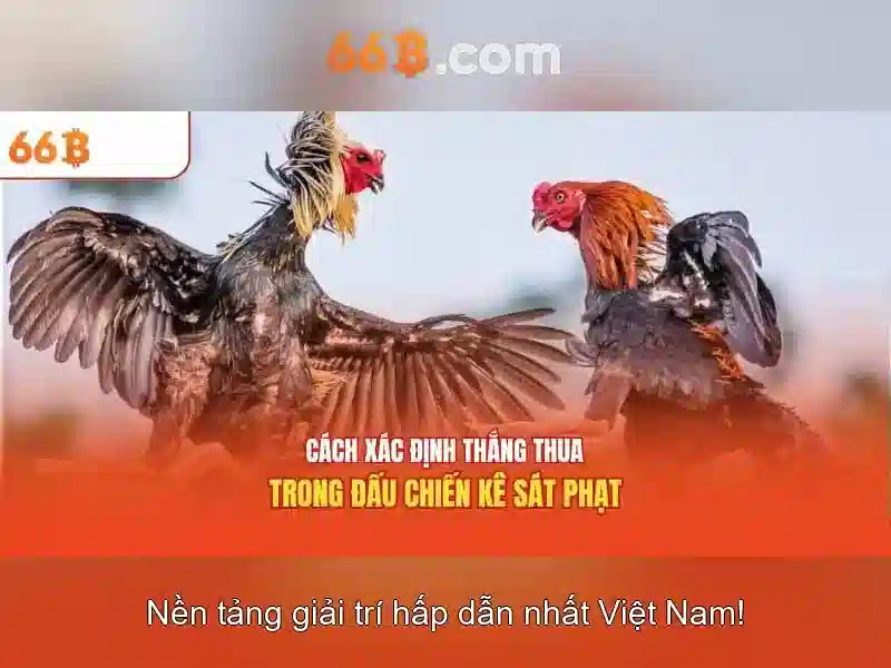 trải nghiệm slot – Đa Dạng Và Đáng Tin Cậy