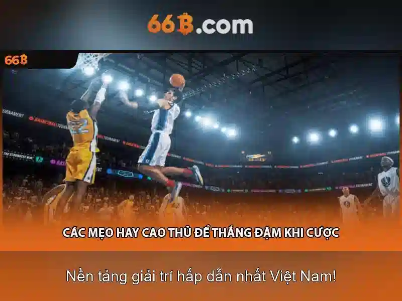 Chính Sách Bảo Mật 66B - Bảo Vệ Dữ Liệu SLOT Tối Ưu