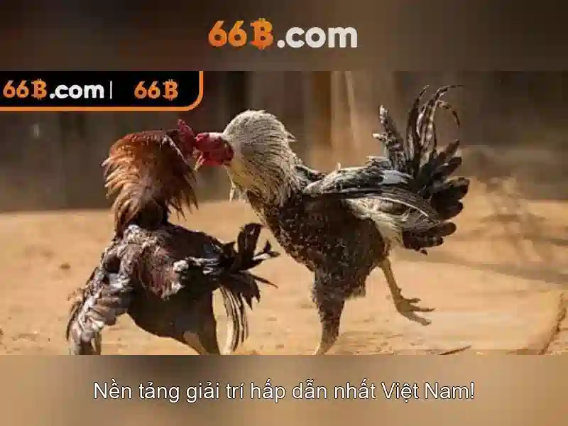 Ưu Điểm Nổi Bật Của 66b Club