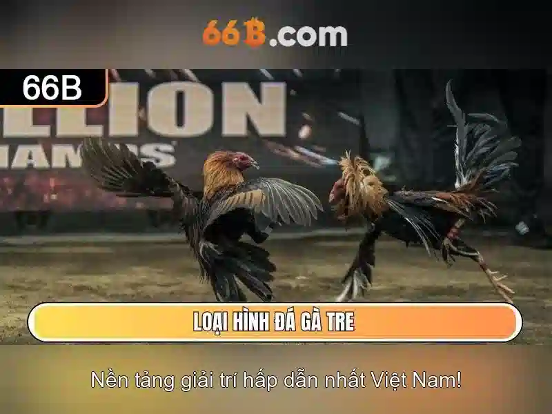 Từ Chối Trách Nhiệm 66B – Chính Sách Không Trách Nhiệm Trong Trò Chơi SLOT