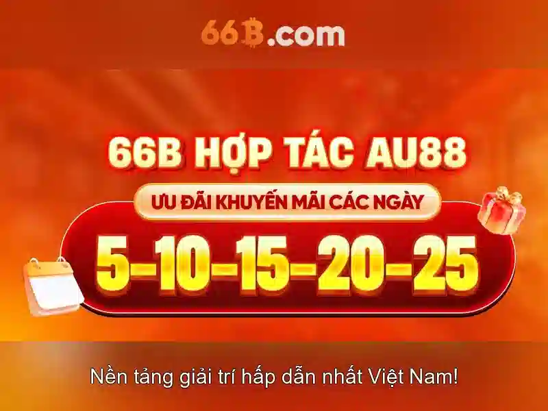 66B Code
