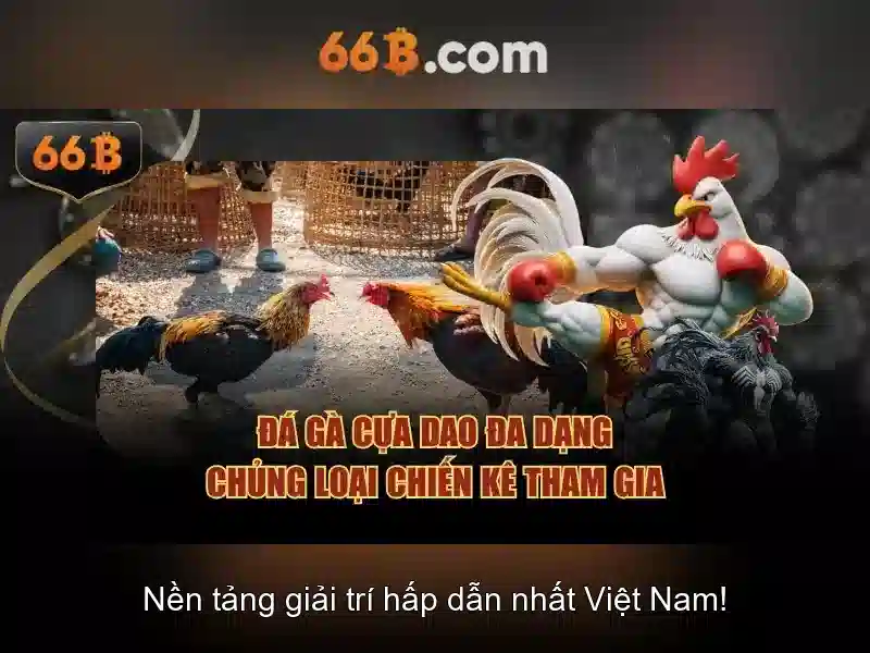 Ứng dụng 66B – Trải Nghiệm Slot Đỉnh Cao
