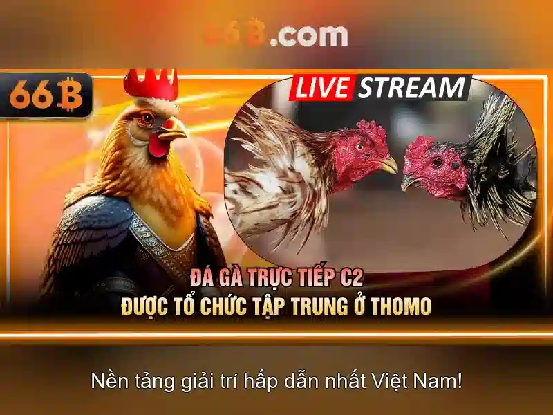 Cờ Tướng 66B