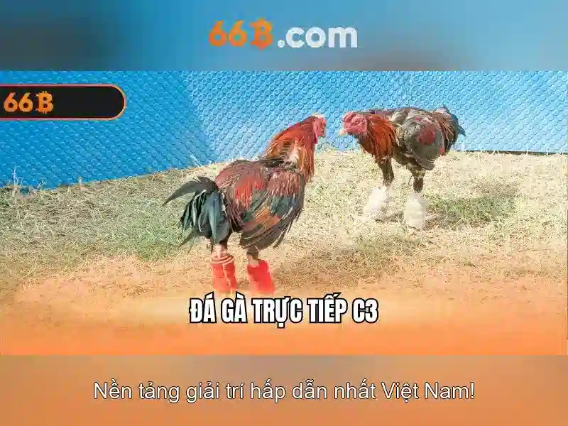 Khuyến Mãi 66B App