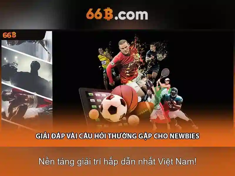66B App