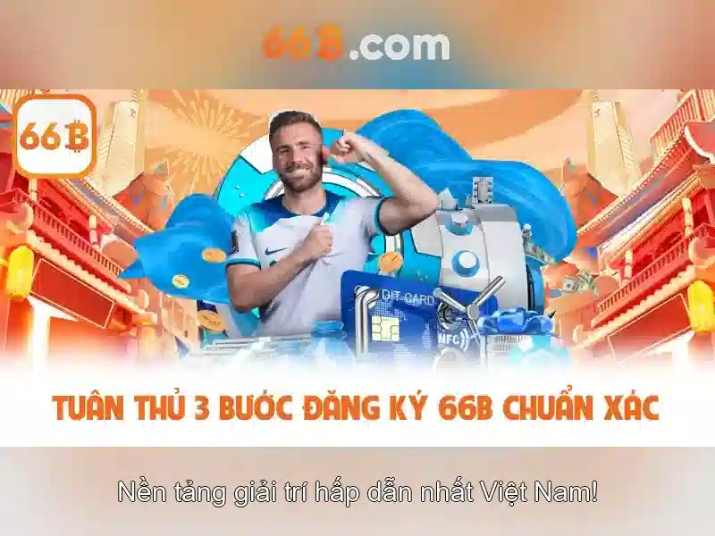 Tính năng 66B