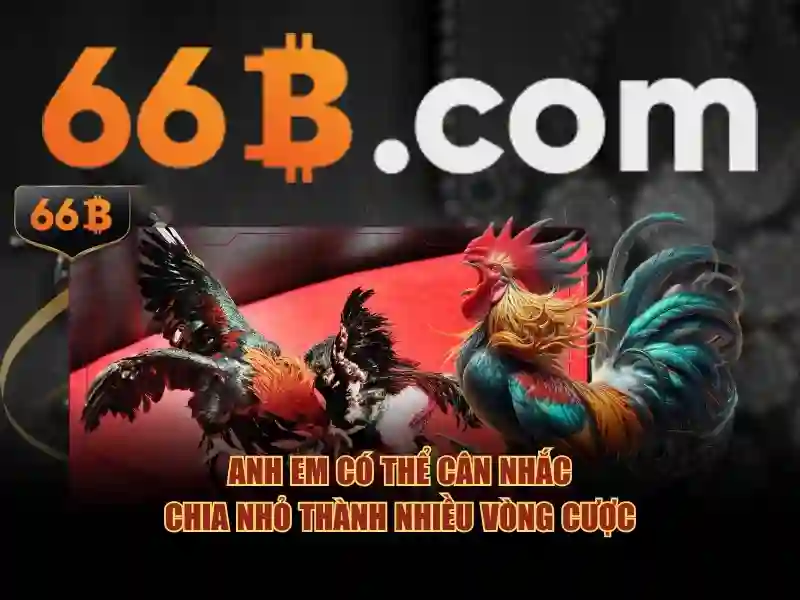 Ưu Đãi 66B
