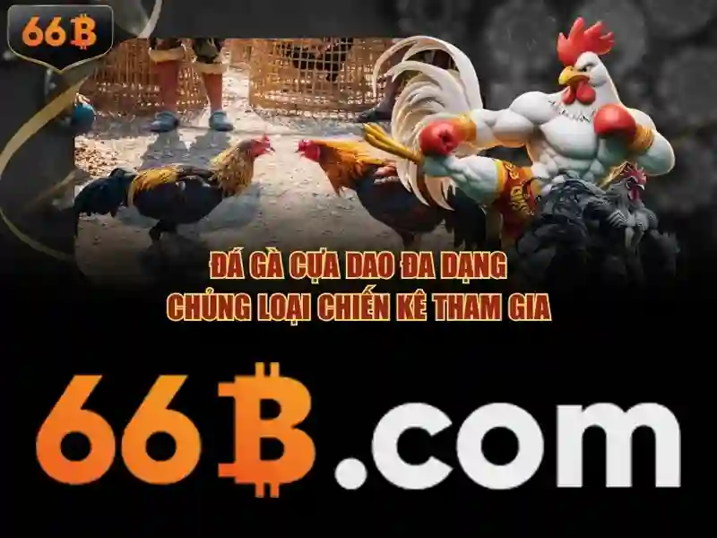 66B – Trang Chủ 66B Chuyên Cung Cấp Slot, Casino, Game Đua