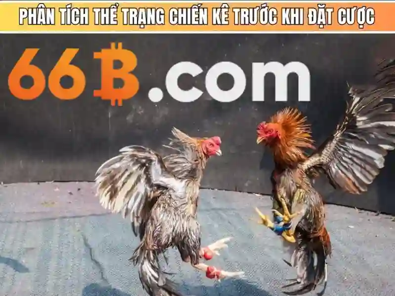 Quên Mật Khẩu 66B – Hướng Dẫn Chi Tiết