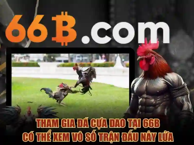 Tại Sao Nên Chọn 66B Cho Dịch Vụ Quên Mật Khẩu