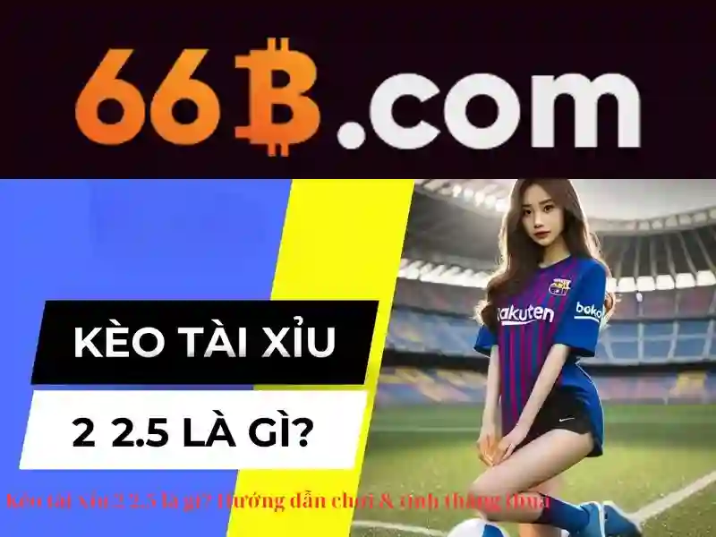 Tại Sao Nên Chọn 66B